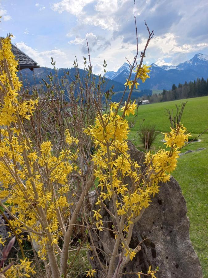 Am Schwand Apartment Gran Bagian luar foto