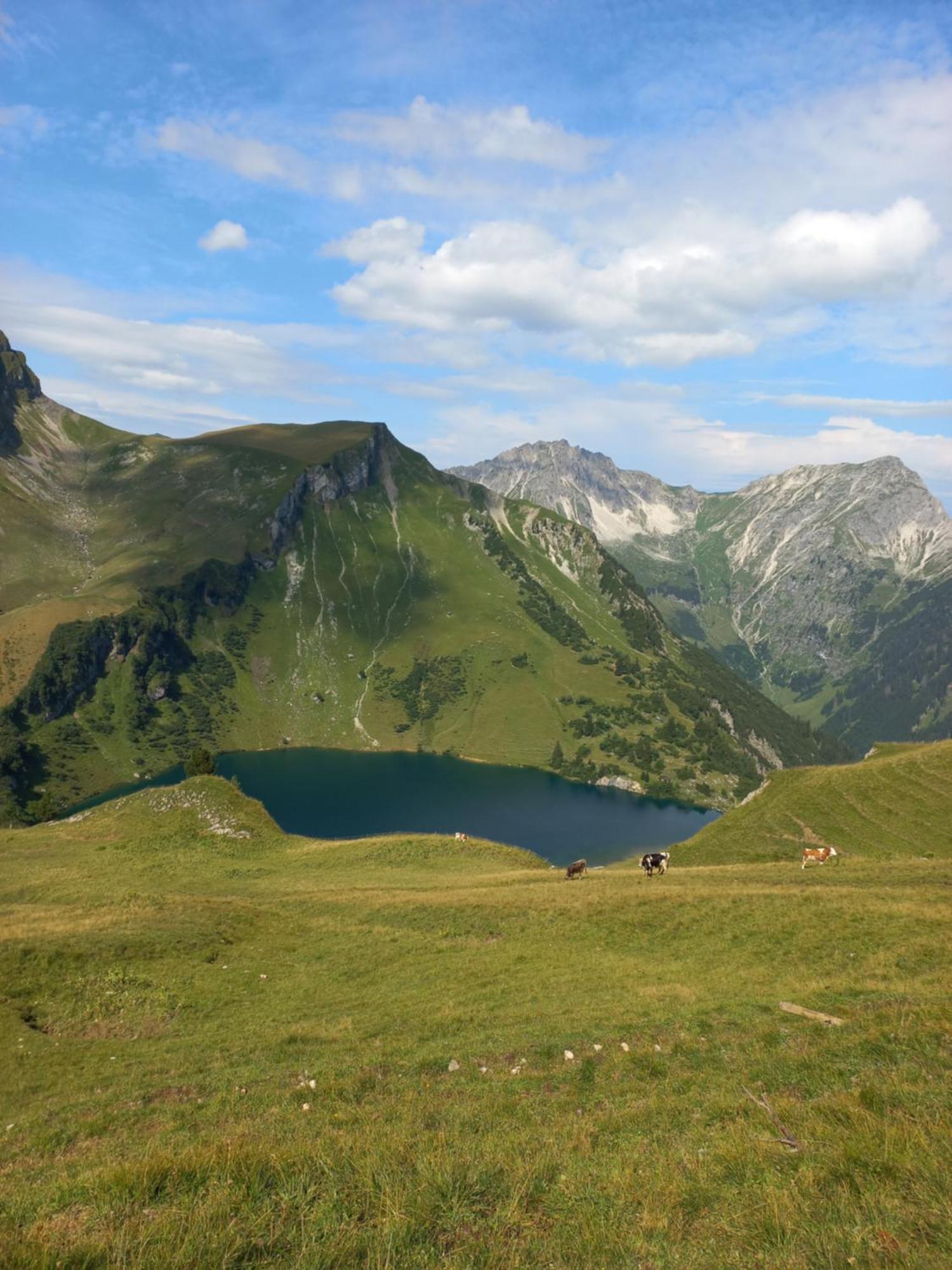Am Schwand Apartment Gran Bagian luar foto
